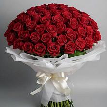 Букет 101 Красная роза Блэк Мэджик #REPLACE_PRED# Марьино Курской области