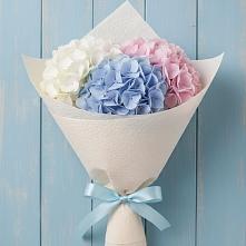 Букет цветов из:  Гортензия #REPLACE_PRED# Марьино Курской области