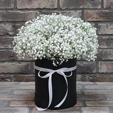 Цветочная композиция из Гипсофила в шляпной коробке в Марьино Курской области
