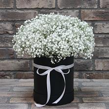 Цветочная композиция из Гипсофила в шляпной коробке в Марьино Курской области
