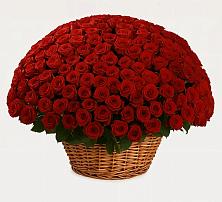 Премиум букет из: Розы в Марьино Курской области