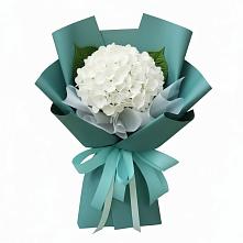 Букет цветов из:  Гортензия #REPLACE_PRED# Марьино Курской области